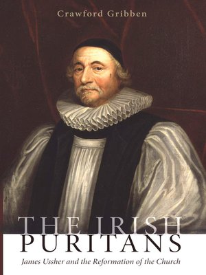 cover image of The Irish Puritans